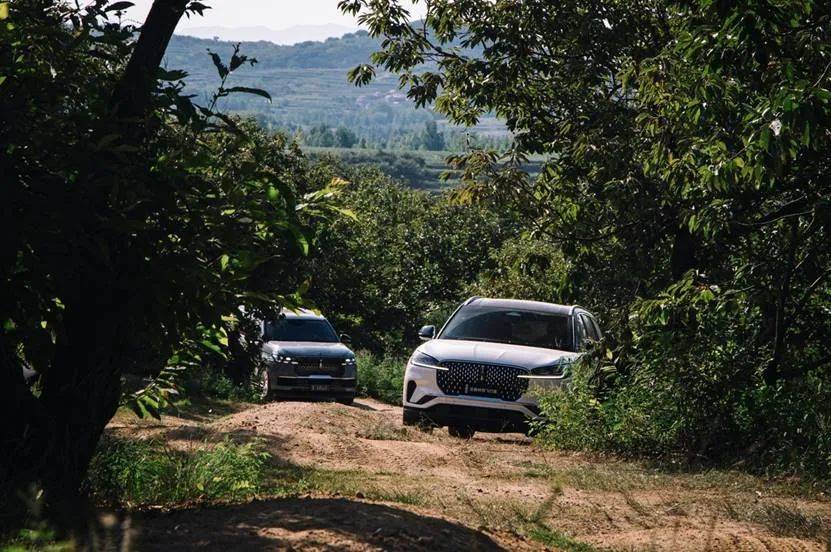 優(yōu)雅的林肯,能越野嗎?