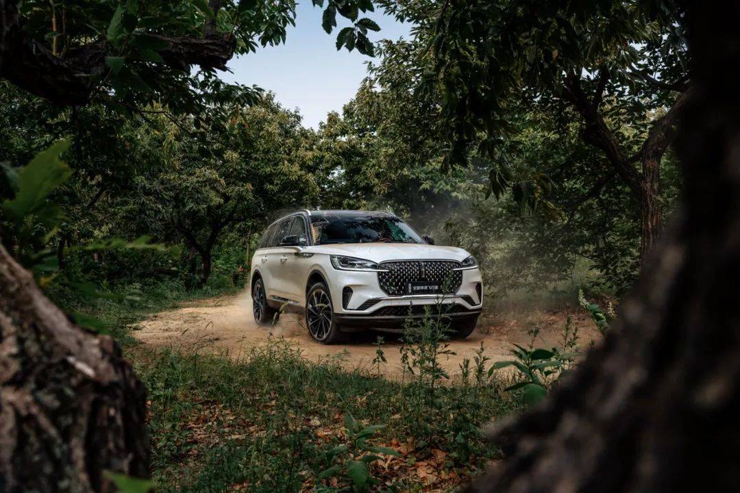 優(yōu)雅的林肯,能越野嗎?