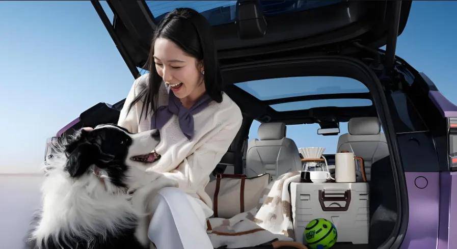 中國汽車市場競爭格局持續升級,新能源汽車的快速崛起、本土品牌的強勢突圍,讓合資車企面臨著前所未有的調整壓力